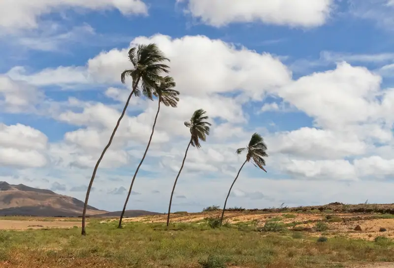 Boa Vista, RR