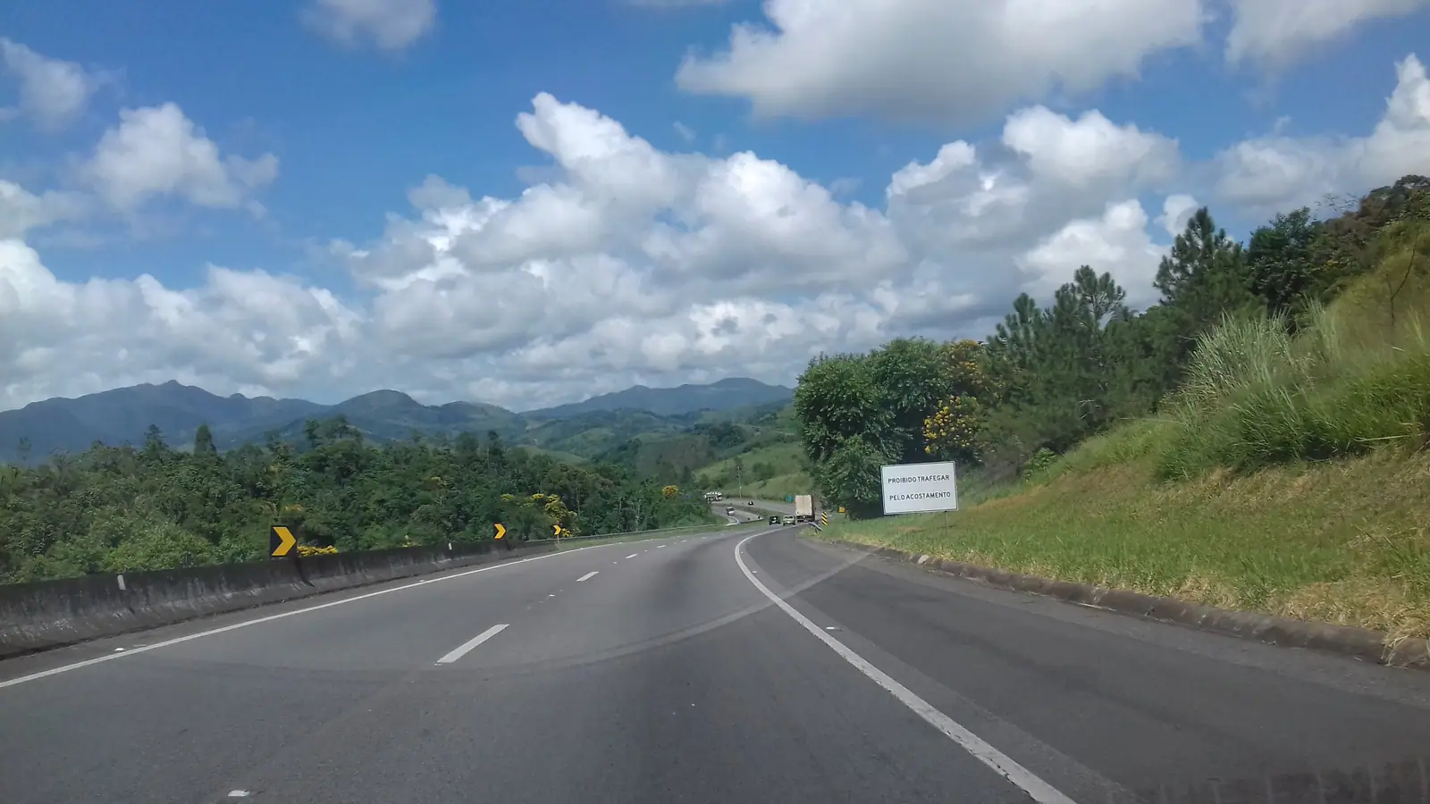 Rodovia em região de mata com pista duplicada e neblina baixa