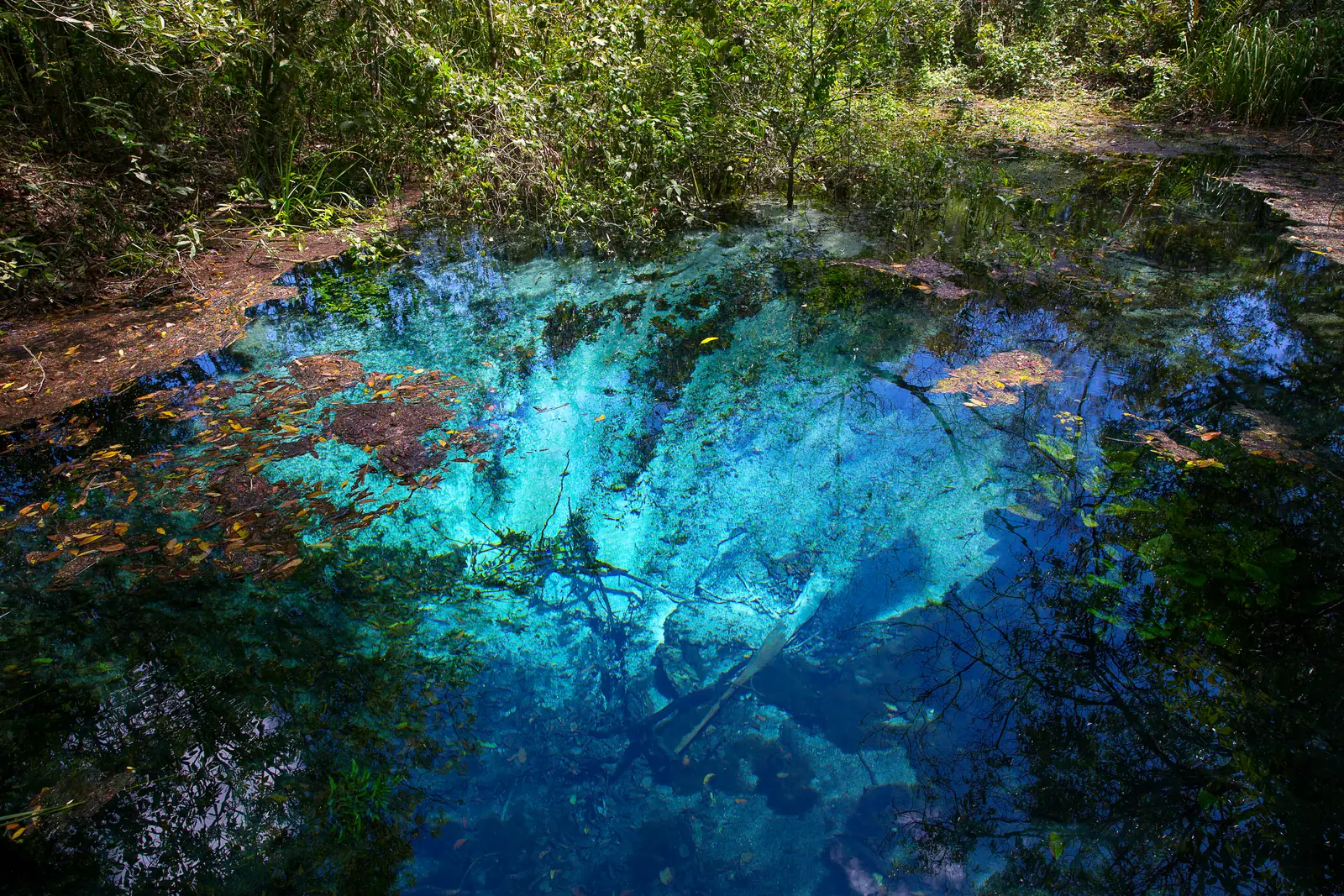 Bonito e Pantanal de carro em 8 dias